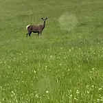 Semesterbostad Sami