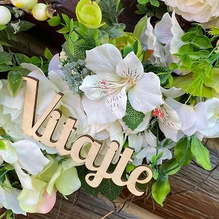 Sami Сasa de vacaciones