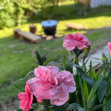 Сasa de vacaciones Sami *