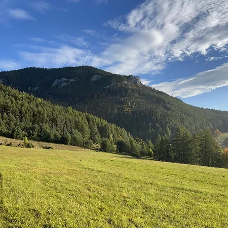 Sami Сasa de vacaciones