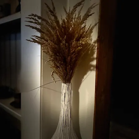 Сasa de vacaciones Sami