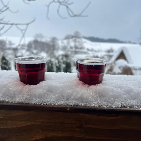 Sami Сasa de vacaciones *