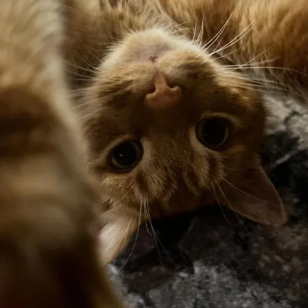 Сasa de vacaciones Sami Liptovský Mikuláš