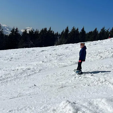 Сasa de vacaciones Sami