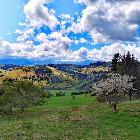 Sami Сasa de vacaciones