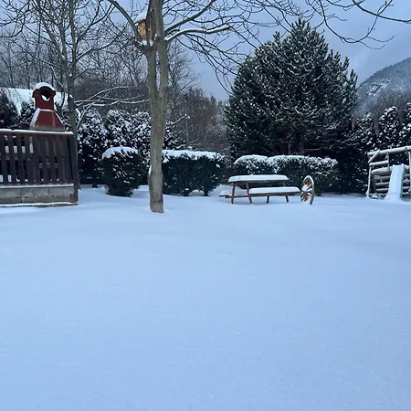 Sami Сasa de vacaciones *