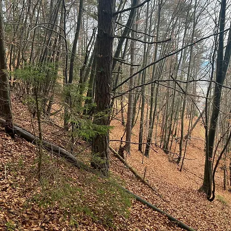 Sami Liptovský Mikuláš