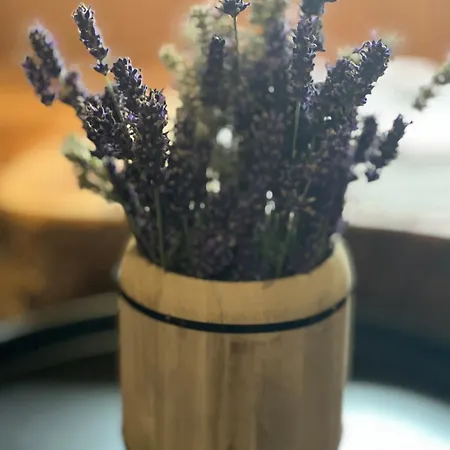 Sami Сasa de vacaciones