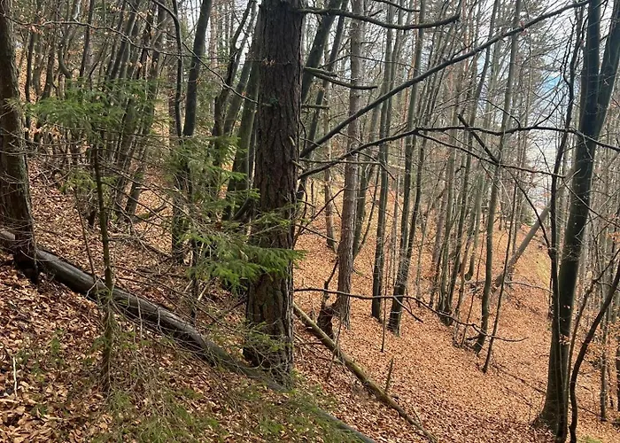 Sami Liptovský Mikuláš